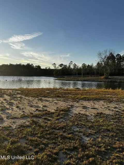 Spring Lake E Drive, Vancleave, MS 39565 photo 2