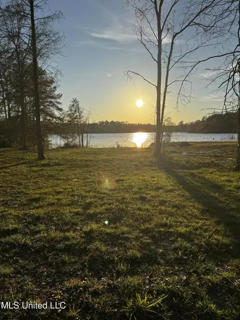 Spring Lake E Drive, Vancleave, MS 39565 photo 5