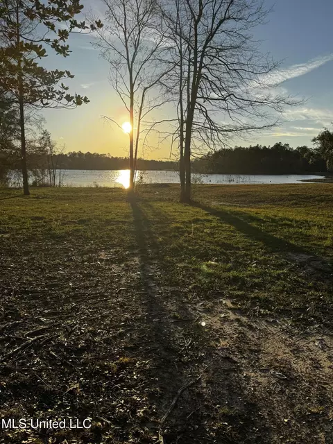 Spring Lake E Drive, Vancleave, MS 39565 photo 8