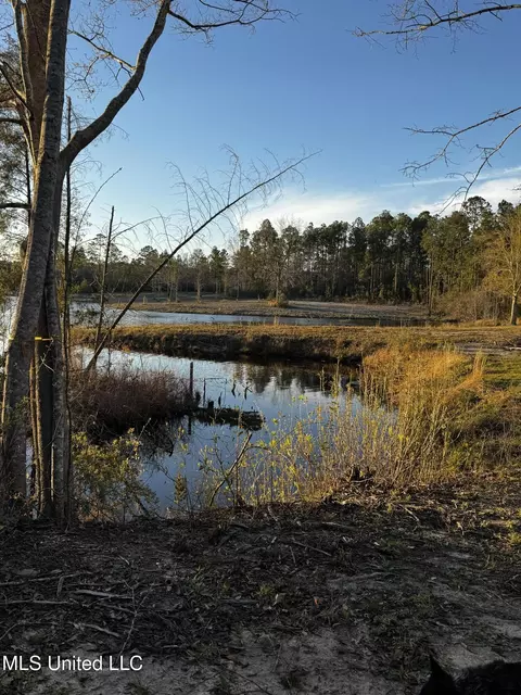 Spring Lake E Drive, Vancleave, MS 39565 photo 7