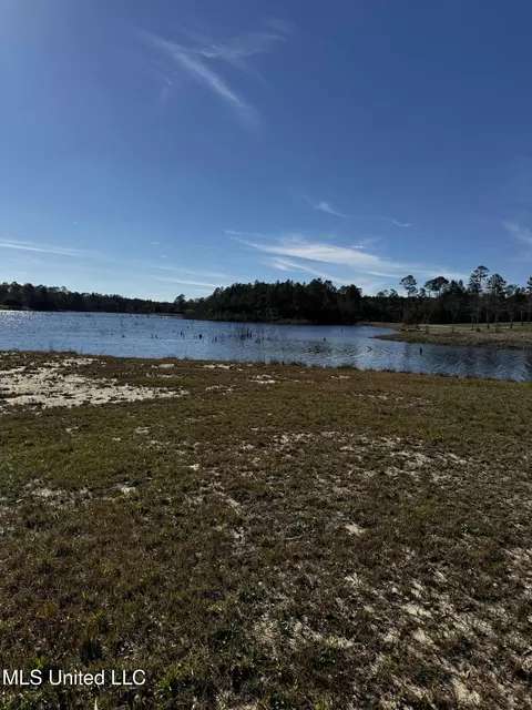 Spring Lake E Drive, Vancleave, MS 39565 photo 4