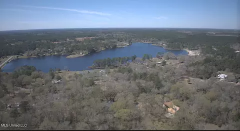 Spring Lake E Drive, Vancleave, MS 39565 photo 3