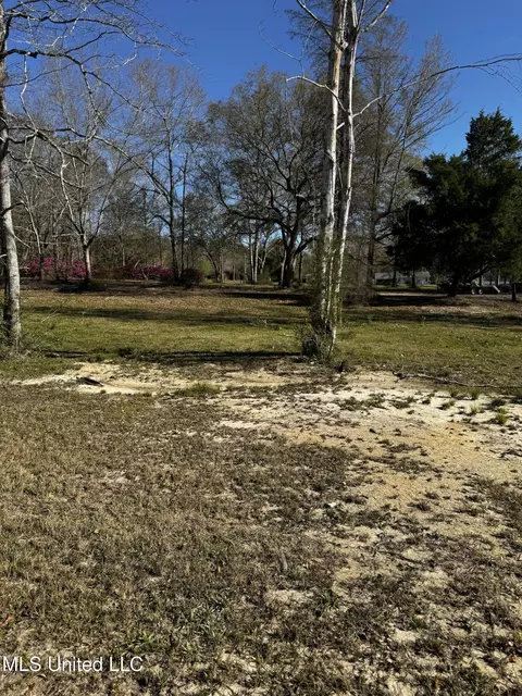 Spring Lake E Drive, Vancleave, MS 39565 photo 9