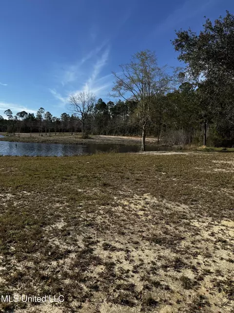 Spring Lake E Drive, Vancleave, MS 39565 photo 12