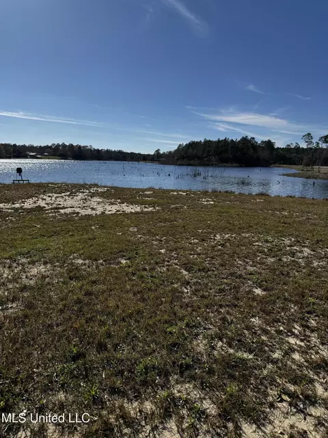 Spring Lake E Drive, Vancleave, MS 39565 photo 10