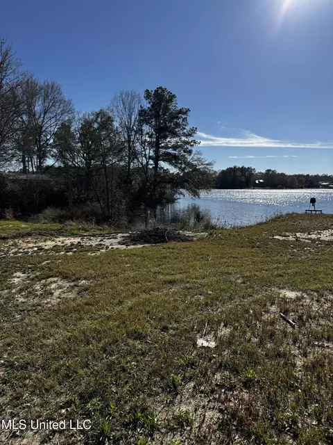 Spring Lake E Drive, Vancleave, MS 39565 photo 14