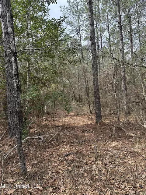 Peacock Road, Lucedale, MS 39452 photo 11