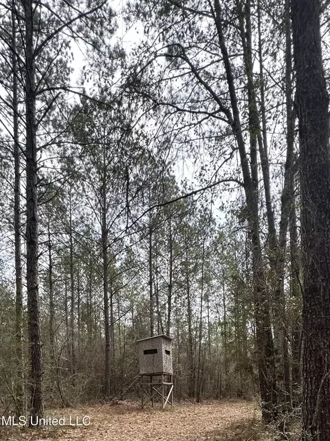 Peacock Road, Lucedale, MS 39452 photo 18