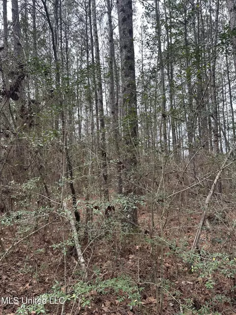 Peacock Road, Lucedale, MS 39452 photo 16