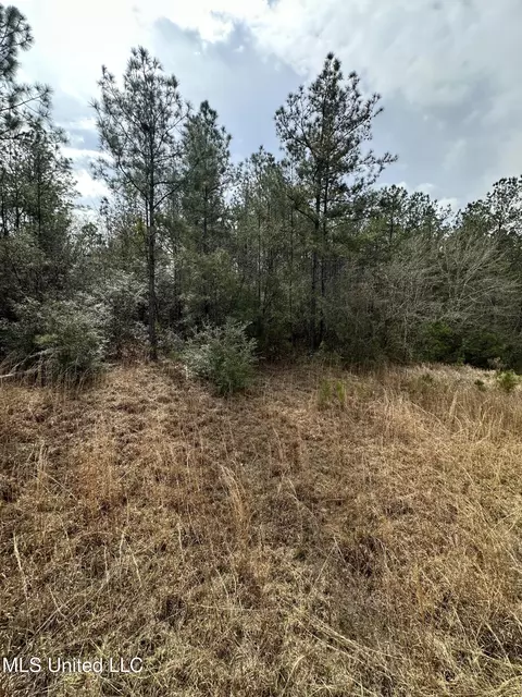 Peacock Road, Lucedale, MS 39452 photo 29