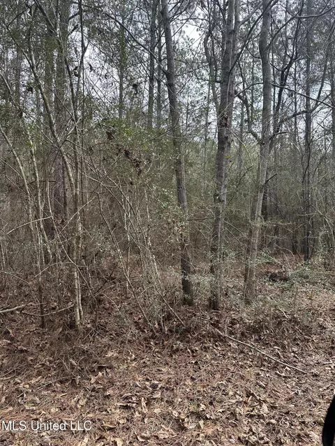 Peacock Road, Lucedale, MS 39452 photo 15