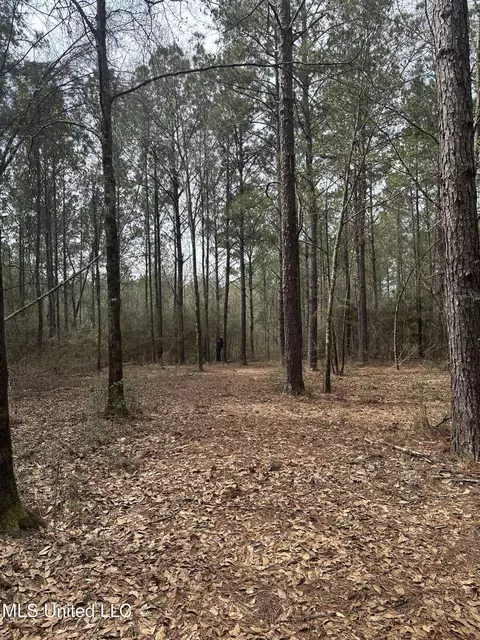Peacock Road, Lucedale, MS 39452 photo 22