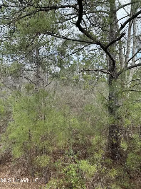 Peacock Road, Lucedale, MS 39452 photo 5