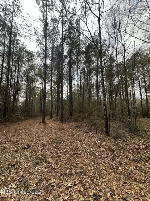 Peacock Road, Lucedale, MS 39452 photo 20