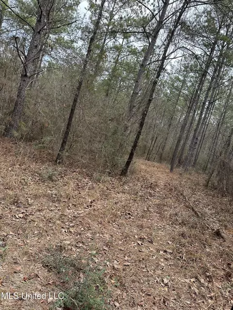 Peacock Road, Lucedale, MS 39452 photo 8
