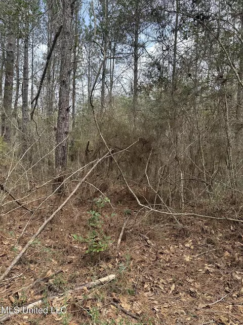 Peacock Road, Lucedale, MS 39452 photo 13