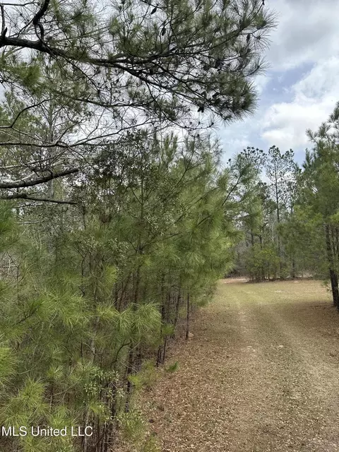 Peacock Road, Lucedale, MS 39452 photo 6