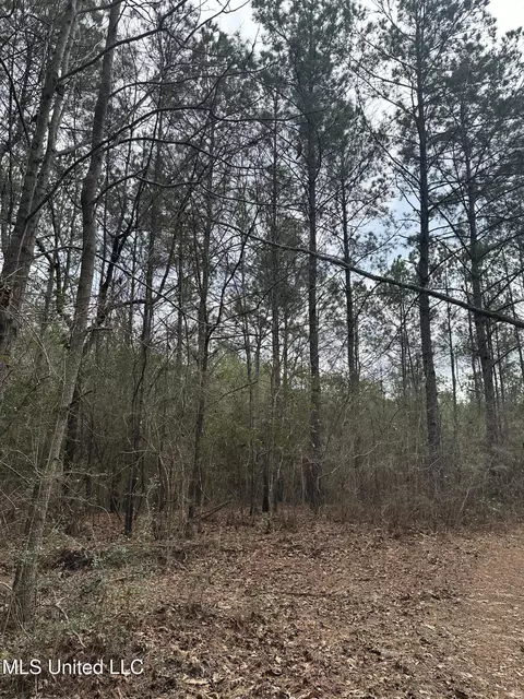 Peacock Road, Lucedale, MS 39452 photo 14