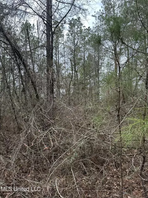 Peacock Road, Lucedale, MS 39452 photo 7