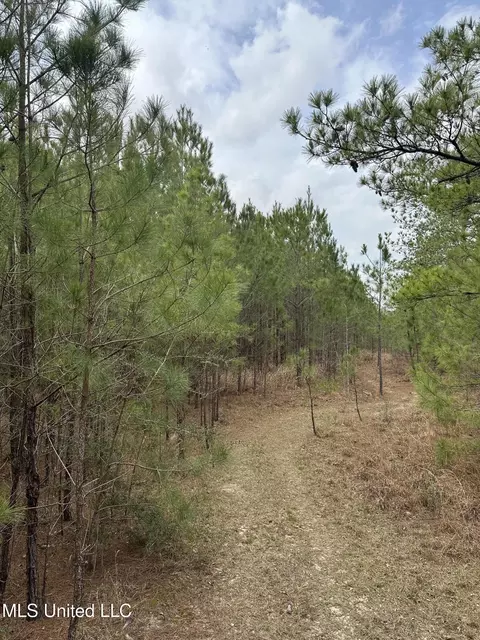 Peacock Road, Lucedale, MS 39452 photo 2