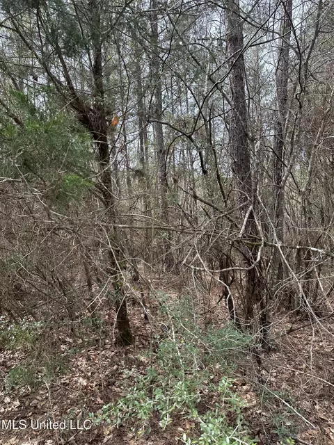 Peacock Road, Lucedale, MS 39452 photo 12