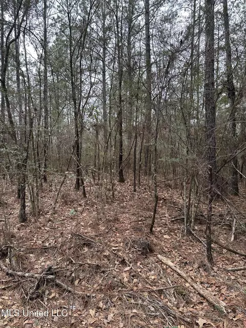 Peacock Road, Lucedale, MS 39452 photo 10