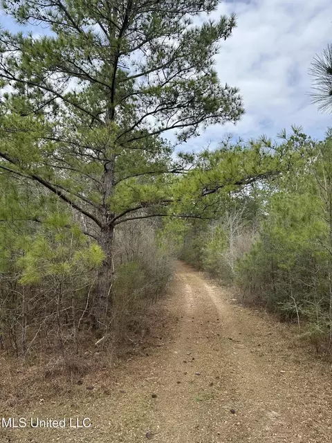 Peacock Road, Lucedale, MS 39452 photo 3