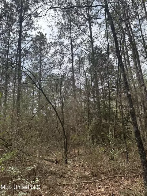 Peacock Road, Lucedale, MS 39452 photo 23