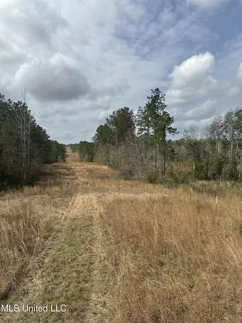Peacock Road, Lucedale, MS 39452 photo 28
