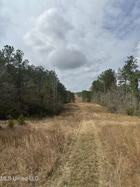 Peacock Road, Lucedale, MS 39452 photo 27