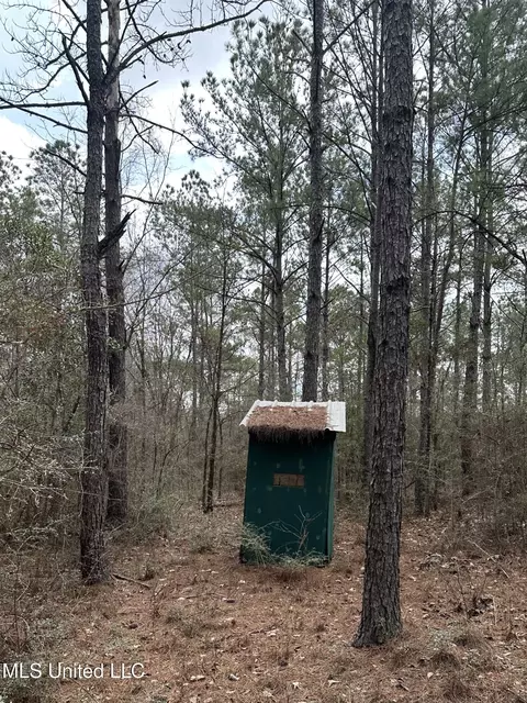 Peacock Road, Lucedale, MS 39452 photo 9