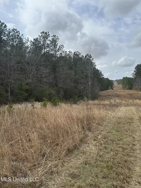 Peacock Road, Lucedale, MS 39452 photo 24