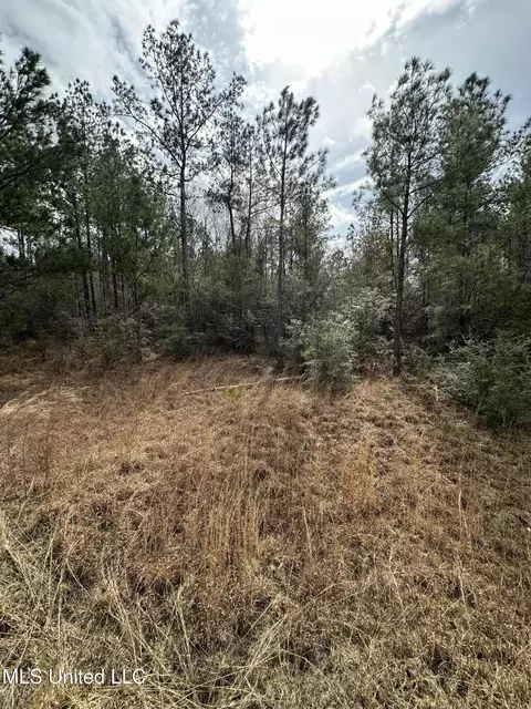 Peacock Road, Lucedale, MS 39452 photo 30