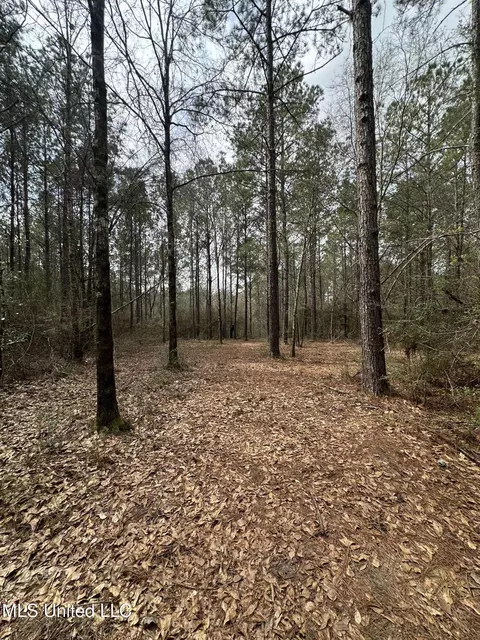 Peacock Road, Lucedale, MS 39452 photo 21