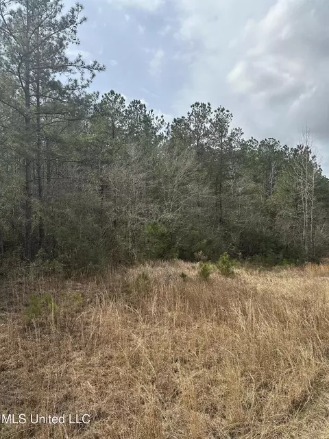 Peacock Road, Lucedale, MS 39452 photo 26