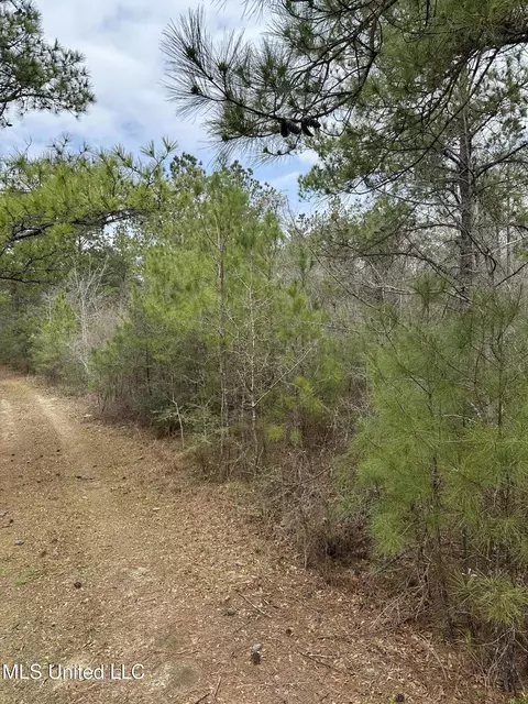 Peacock Road, Lucedale, MS 39452 photo 4
