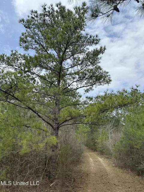 Peacock Road, Lucedale, MS 39452
