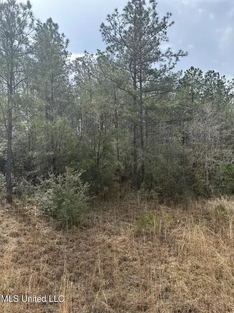 Peacock Road, Lucedale, MS 39452 photo 25