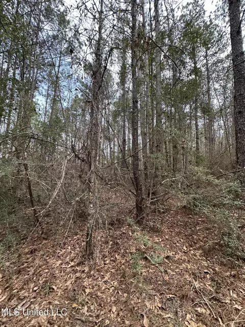 Peacock Road, Lucedale, MS 39452 photo 17