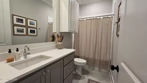 483 Crossvine Pl, Madison, MS 39110 photo 33