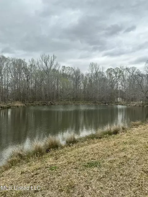 523 Abernathy Rd, Flora, MS 39071 photo 7