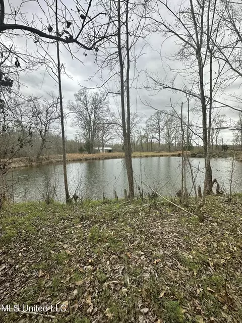523 Abernathy Rd, Flora, MS 39071 photo 2