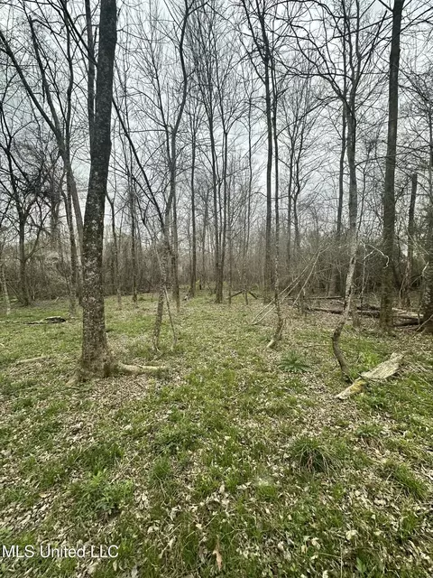 523 Abernathy Rd, Flora, MS 39071 photo 12