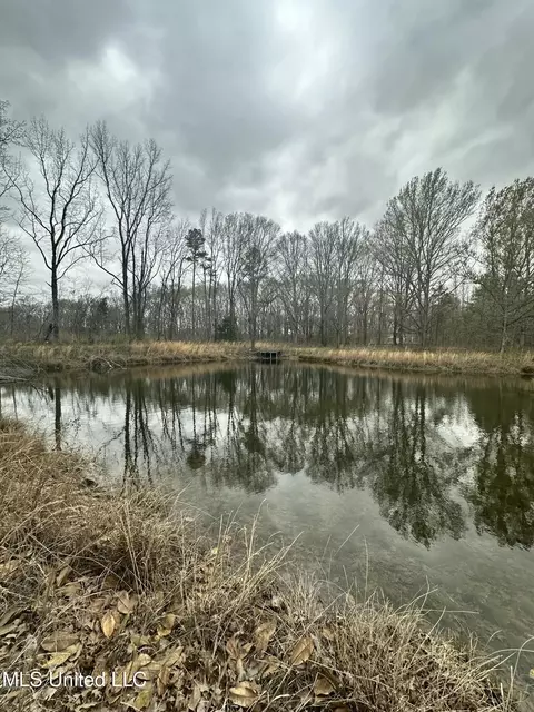 523 Abernathy Rd, Flora, MS 39071 photo 10