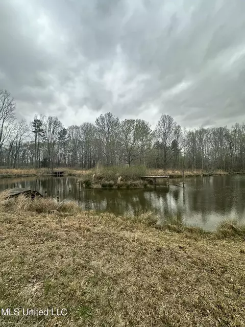 523 Abernathy Rd, Flora, MS 39071 photo 8
