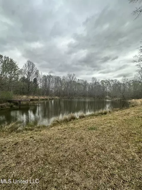 523 Abernathy Rd, Flora, MS 39071 photo 6