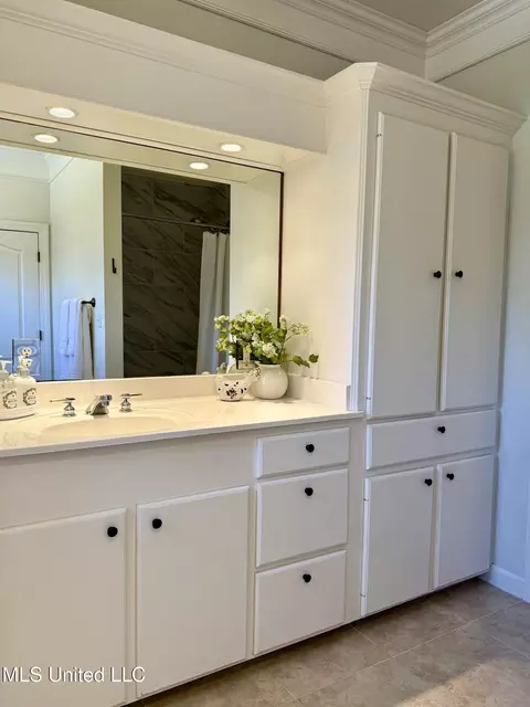 Bath - 104 Copper Ridge Dr, Brandon, MS 39042 photo 5 of 7