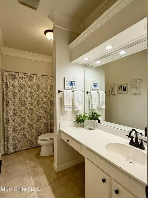 Bath - 104 Copper Ridge Dr, Brandon, MS 39042 photo 7 of 7