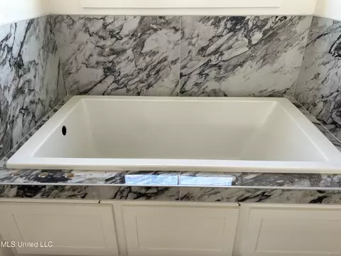Bath - 356 Wellstone Pl, Madison, MS 39110 photo 2 of 5