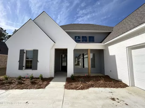 Exterior - 356 Wellstone Pl, Madison, MS 39110 photo 2 of 2